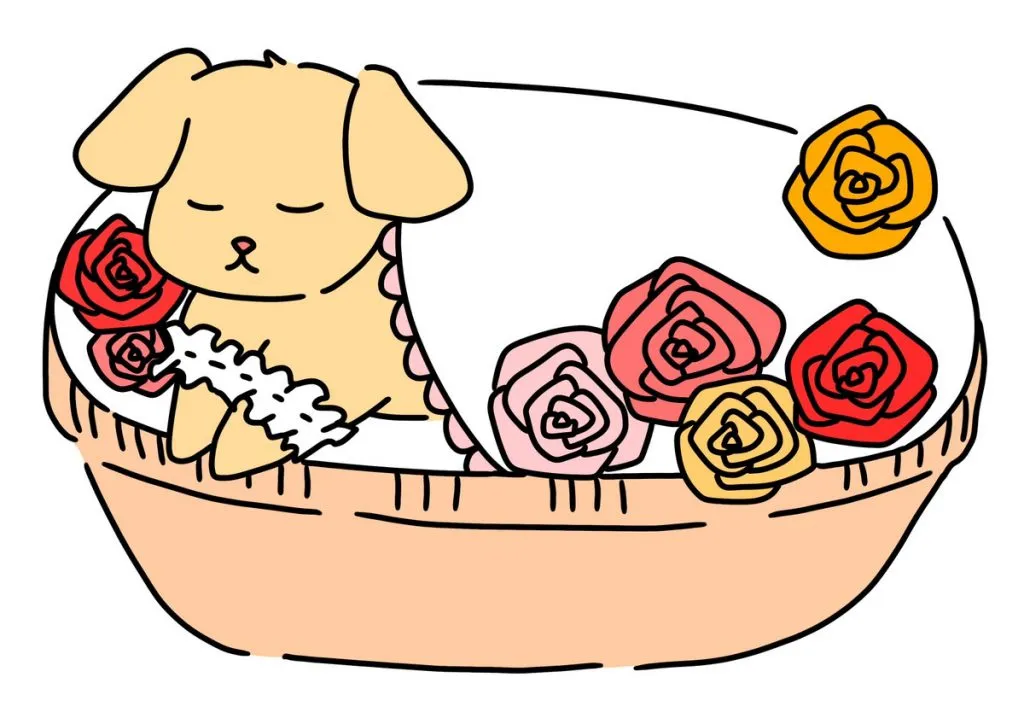 祭壇・納棺の準備