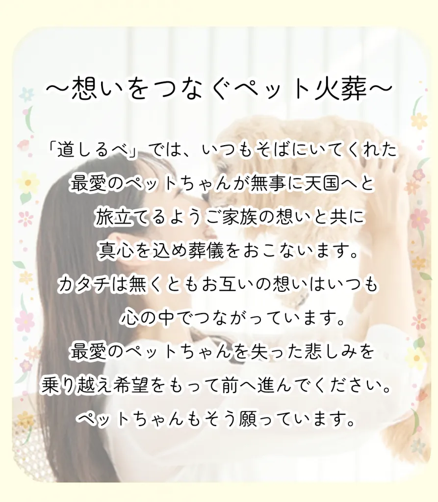 ペットとの思い出
